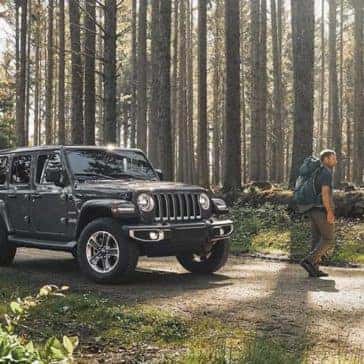 2020 Jeep Wrangler In the Woods