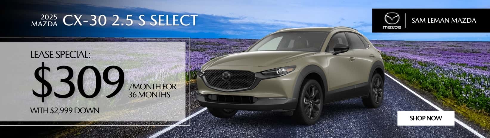 01-NewMay_Mazda_Sliders-CX30