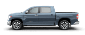 Tundra