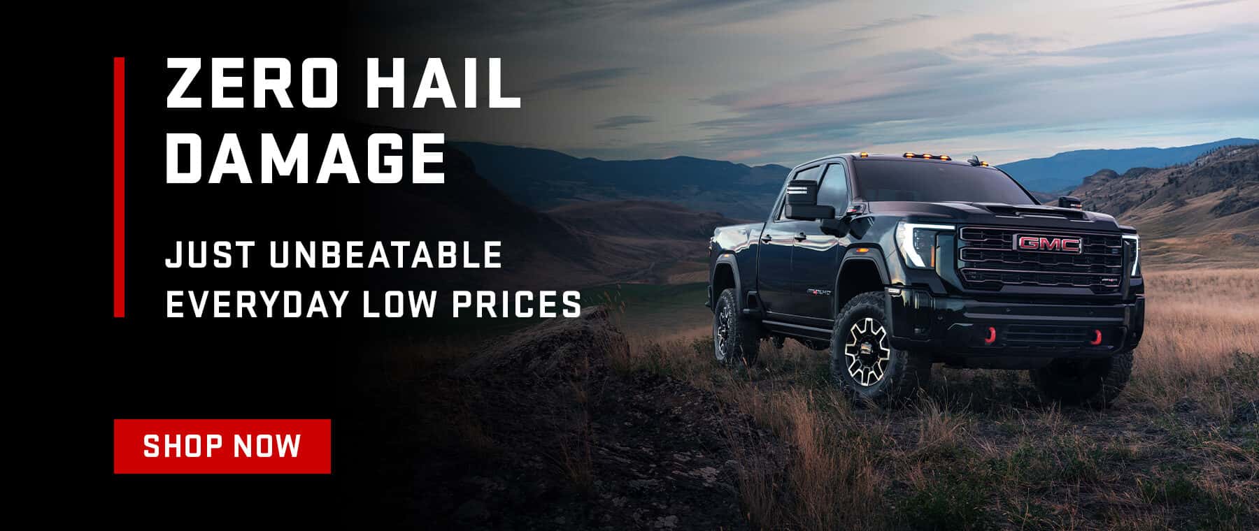 No hail Damage Promo
