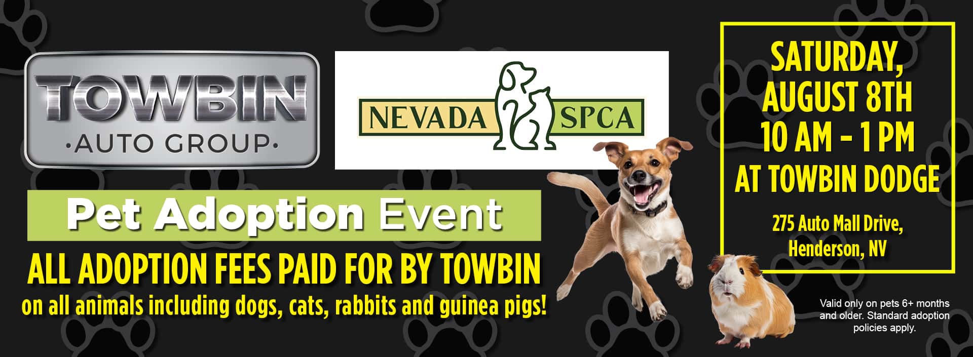 TAGD-4716—G—MULTI—PET-ADOPTION-BANNER-CV-V2_01–1-