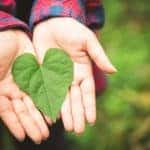 Go green with Toyota of N Charlotte.