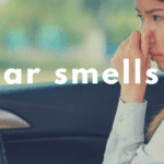 Toyota of N. Charlotte gives tips on car smells