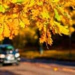 Fall car care tips from Toyota of North Charlotte