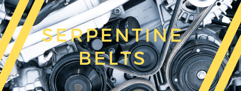 What Is a Serpentine Belt?