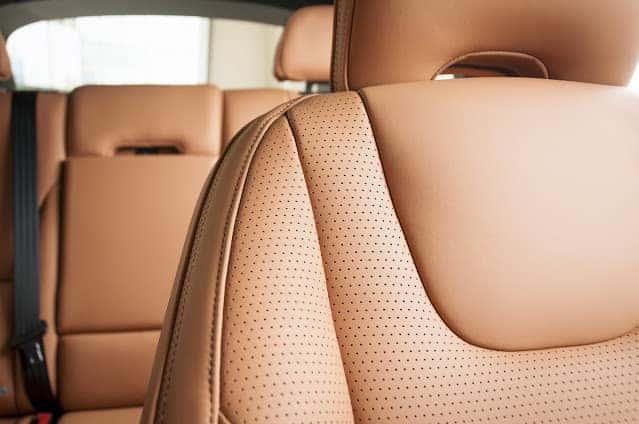 Improve Your Driving Comfort with These Top 7 Lumbar Supports