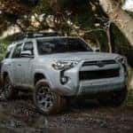 Charlotte Toyota SUV