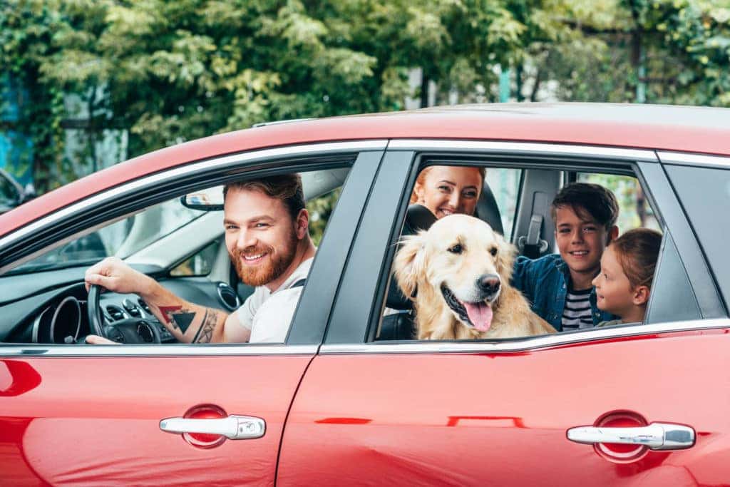 safe driving tips 