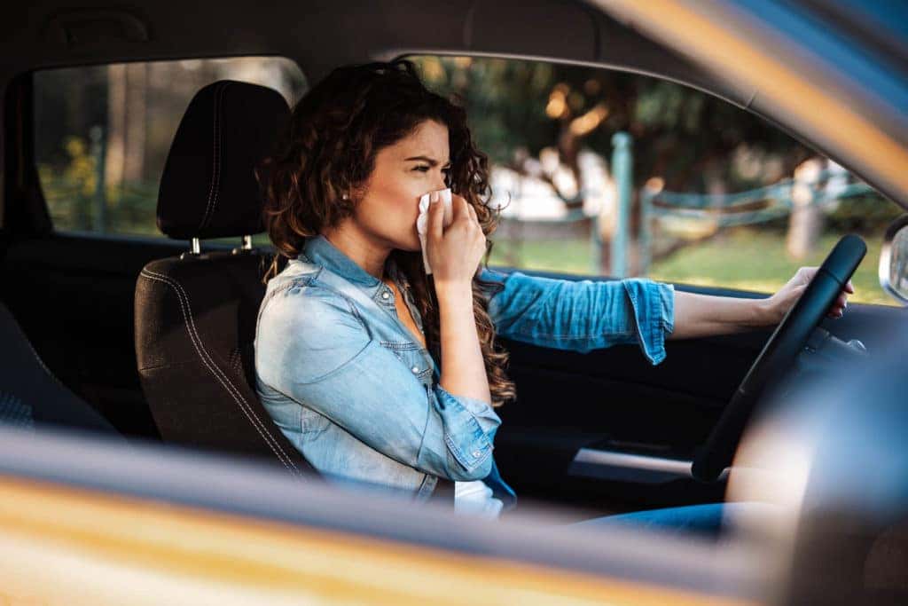 Charlotte Toyota driving