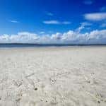 beach road trips