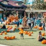 events near Toyota of N Charlotte