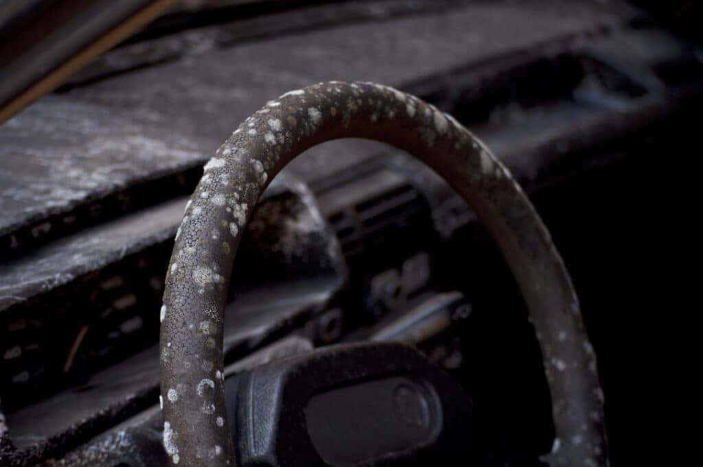 mildew smell in car