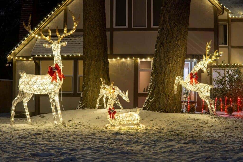 driving christmas lights