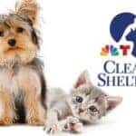 Clear the Shelters