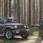 2020 Jeep Wrangler Forest