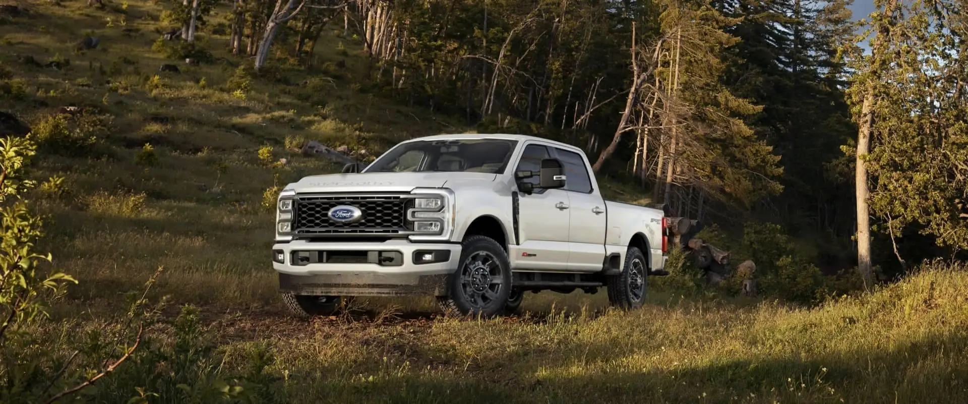 commercial truck in field