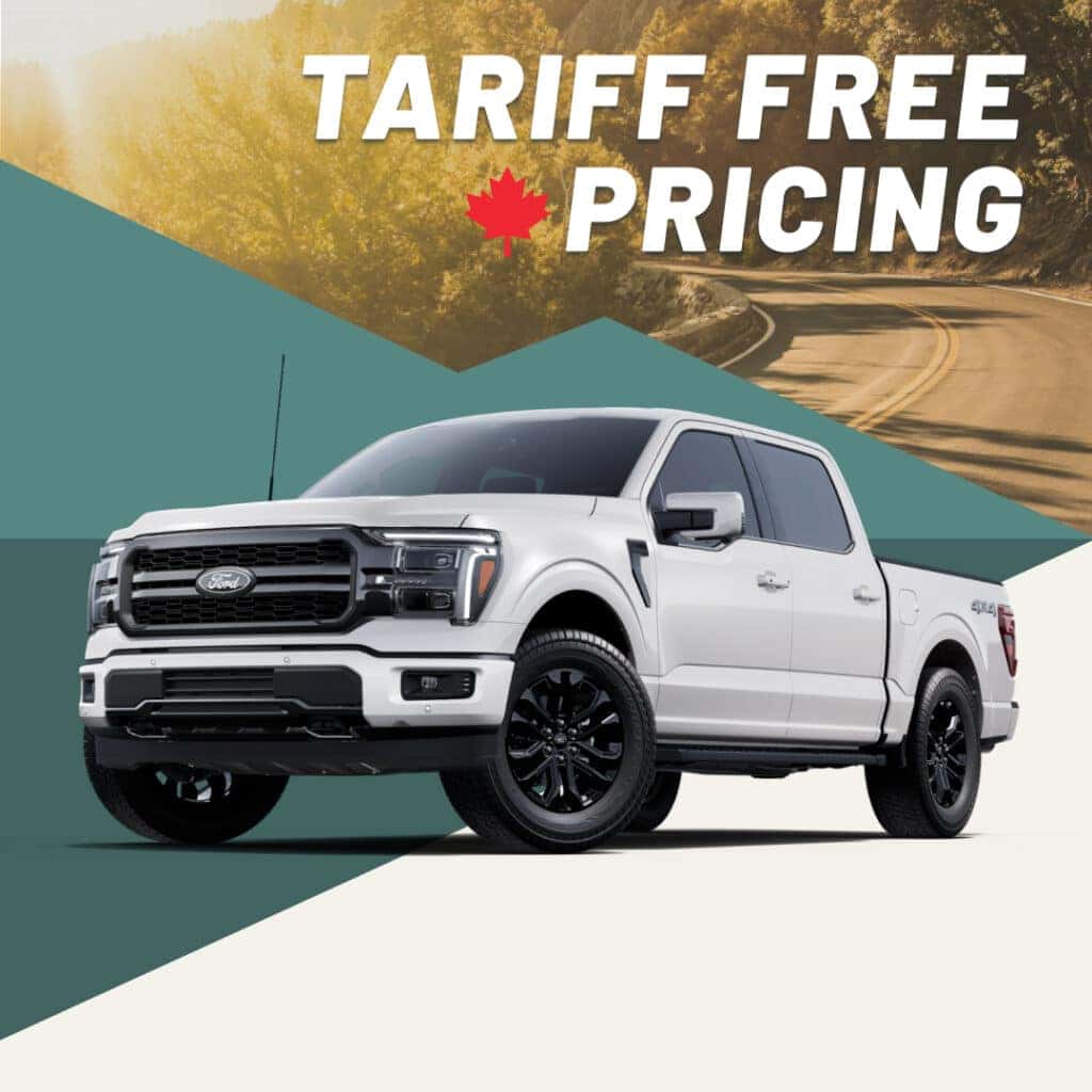 Buy Now and Save Big!
