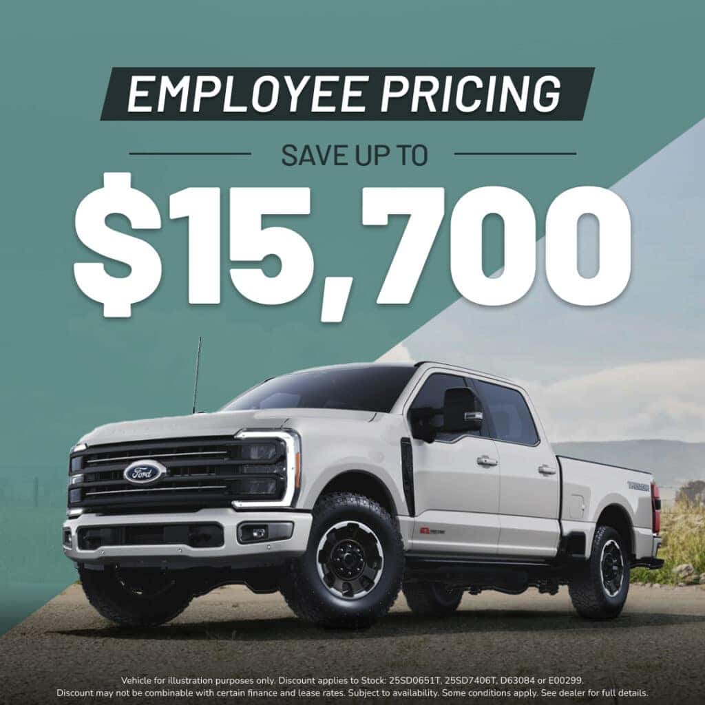 Buy Now and Save Big!